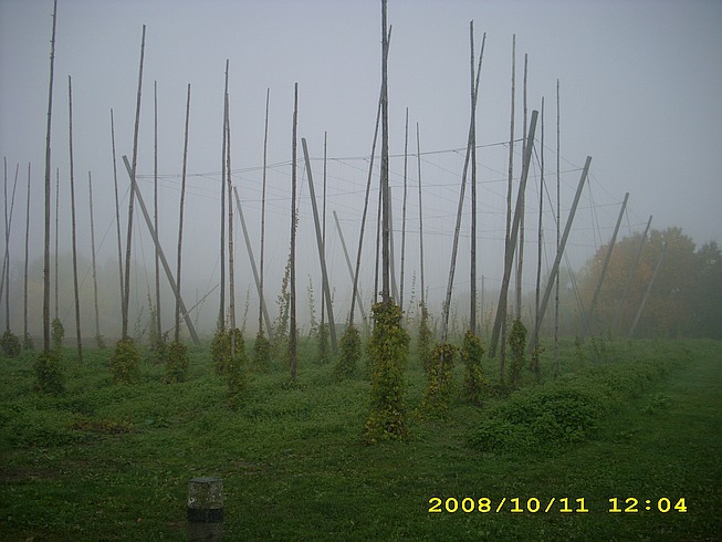 Hessenpark - Hopfenfeld