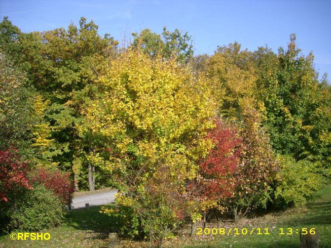 Hessenpark Herbst....