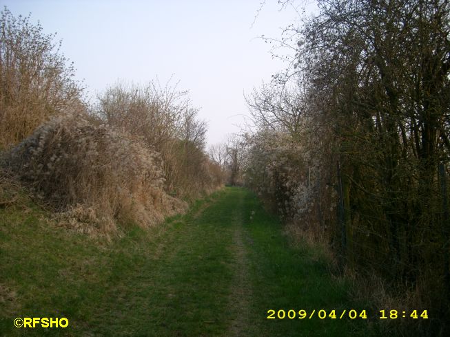 Wanderweg bei Appenheim