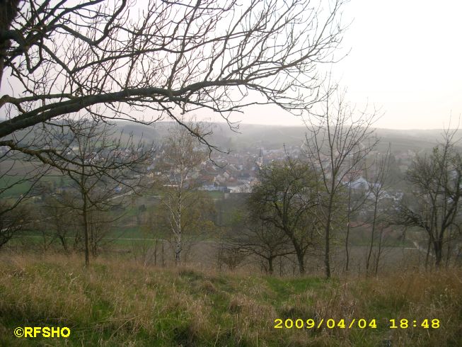 Blick auf Appenheim